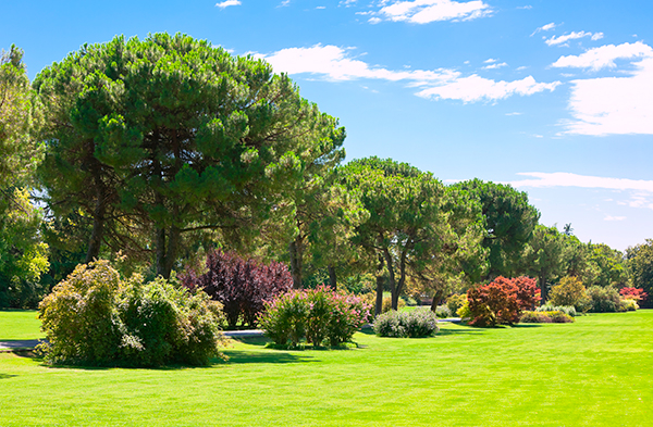 Quinta do Lago